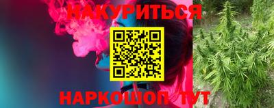 прущий лед Будённовск