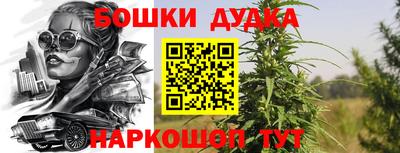 прущий лед Будённовск
