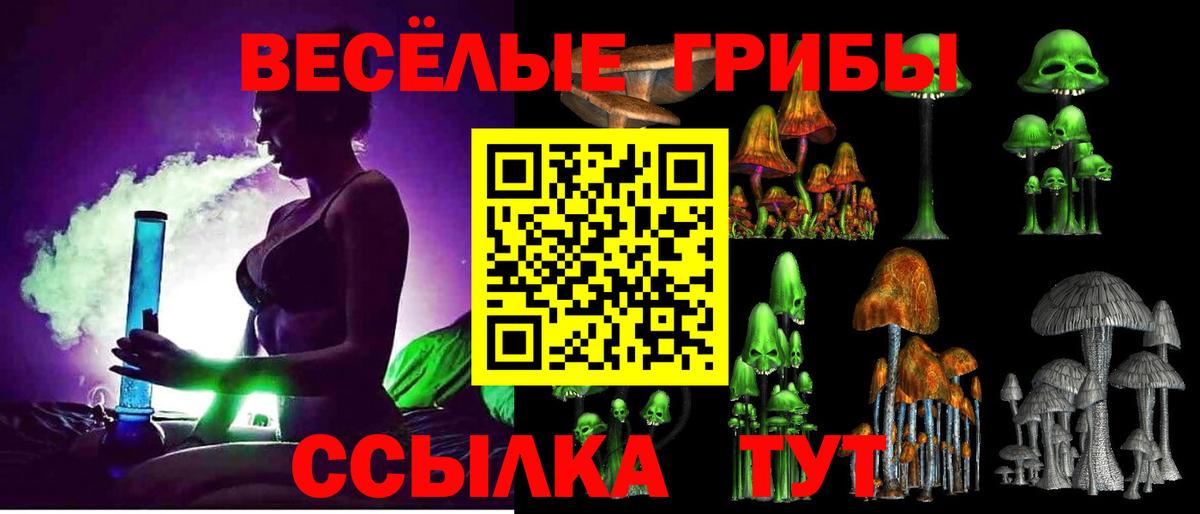 Псилоцибиновые грибы Cubensis Кулебаки