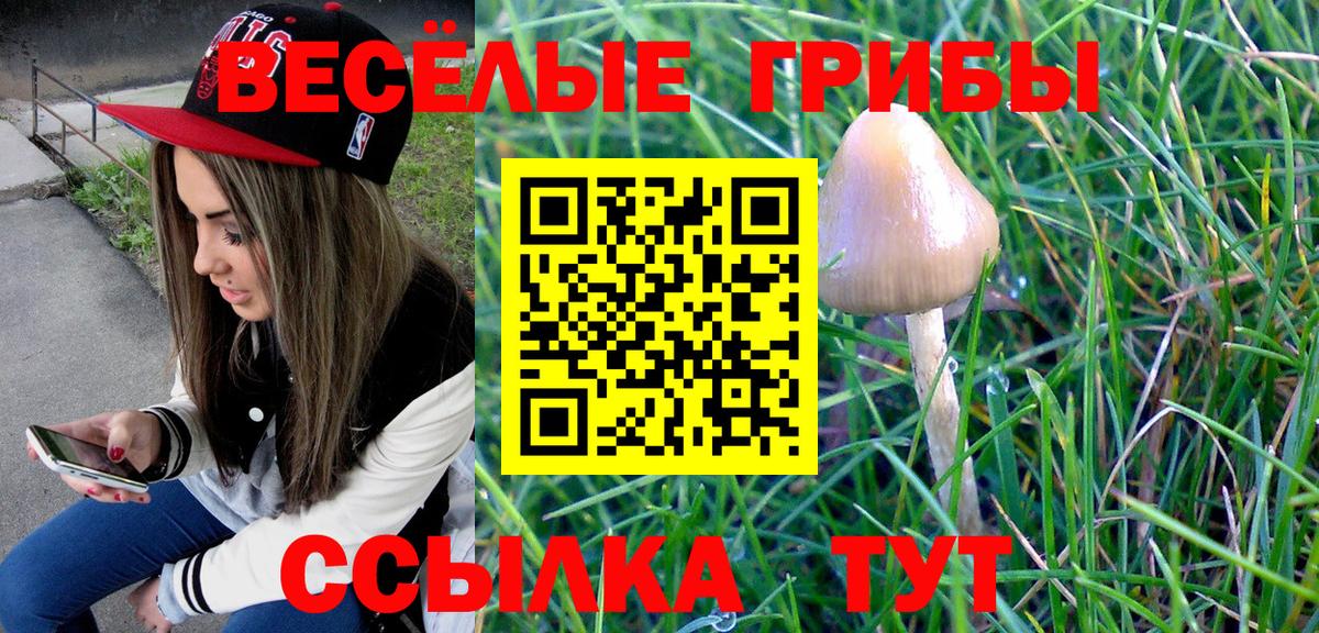 хочу наркоту  Псилоцибиновые грибы Psilocybine cubensis  Вход с VPN  Галлюциногенные грибы GOLDEN TEACHER  Кулебаки 